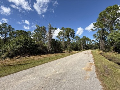 Bring your vision and build your dream on this 0.23-acre corner on Sun n Lake Golf and Country Club in Florida - for sale on GolfHomes.com, golf home, golf lot