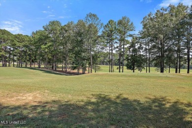 Calling all golfers!! Here is an updated 4 bedroom, 2.5 bathroom on Bay Pointe Golf and Resort in Mississippi - for sale on GolfHomes.com, golf home, golf lot