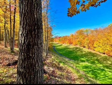 25+ private, undeveloped acres with 2168 feet of golf course on The Loon Golf Resort in Michigan - for sale on GolfHomes.com, golf home, golf lot