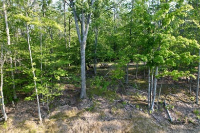 25+ private, undeveloped acres with 2168 feet of golf course on The Loon Golf Resort in Michigan - for sale on GolfHomes.com, golf home, golf lot