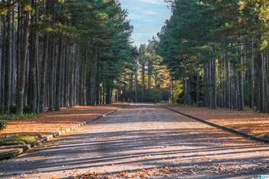 Discover your dream homesite on this expansive 2.35-acre estate on Pine Hill Country Club in Alabama - for sale on GolfHomes.com, golf home, golf lot