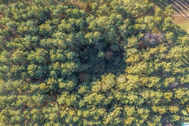 Discover your dream homesite on this expansive 2.35-acre estate on Pine Hill Country Club in Alabama - for sale on GolfHomes.com, golf home, golf lot