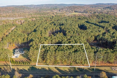 Discover your dream homesite on this expansive 2.35-acre estate on Pine Hill Country Club in Alabama - for sale on GolfHomes.com, golf home, golf lot