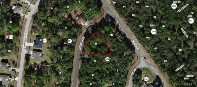 Citrus Springs homesite is ready for your dream home or on Citrus Springs Country Club in Florida - for sale on GolfHomes.com, golf home, golf lot