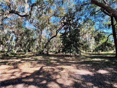 0.71 of an acre inside the gates of Sutherland Bluff Plantation on Sapelo Hammock Golf Club in Georgia - for sale on GolfHomes.com, golf home, golf lot