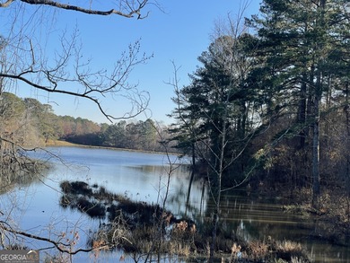 This is your chance to own property in the Eagle's Landing on Eagles Landing Country Club in Georgia - for sale on GolfHomes.com, golf home, golf lot