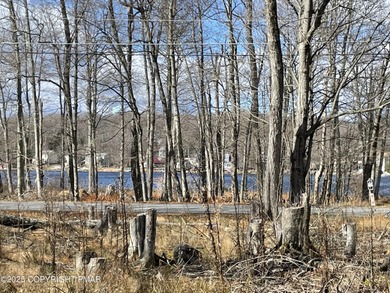 **Yes, it's STR-friendly!** LAKEVIEW Land Lot! Turn your dreams on Pocono Farms Country Club in Pennsylvania - for sale on GolfHomes.com, golf home, golf lot