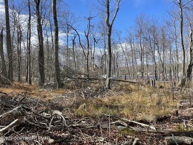 **Yes, it's STR-friendly!** LAKEVIEW Land Lot! Turn your dreams on Pocono Farms Country Club in Pennsylvania - for sale on GolfHomes.com, golf home, golf lot