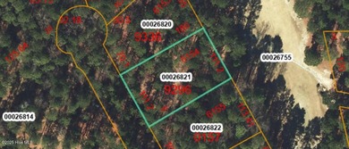 Seven Lakes West Amenity lot being offered to have access to the on Beacon Ridge Golf and Country Club in North Carolina - for sale on GolfHomes.com, golf home, golf lot