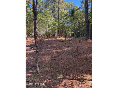 Seven Lakes West Amenity lot being offered to have access to the on Beacon Ridge Golf and Country Club in North Carolina - for sale on GolfHomes.com, golf home, golf lot