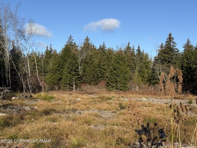 Ready to bring your Pocono dream home to life? This cleared and on Pocono Farms Country Club in Pennsylvania - for sale on GolfHomes.com, golf home, golf lot