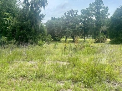 Here is a great opportunity for you to build your dream home in on The Oaks Golf Club in Florida - for sale on GolfHomes.com, golf home, golf lot