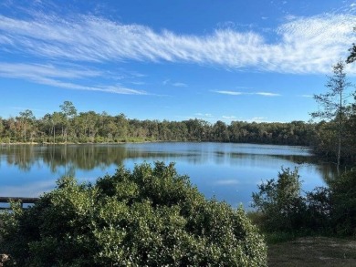 Nice .503 acre lot. Sunny Hills is an established subdivision on Sunny Hills Golf and Country Club in Florida - for sale on GolfHomes.com, golf home, golf lot