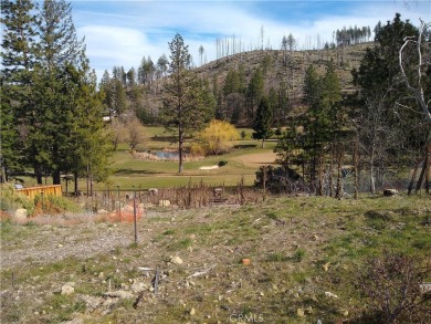 GOLF COURSE FRONTAGE LOT of 0.39 acres looking over Adams on Adam Springs Golf Course in California - for sale on GolfHomes.com, golf home, golf lot