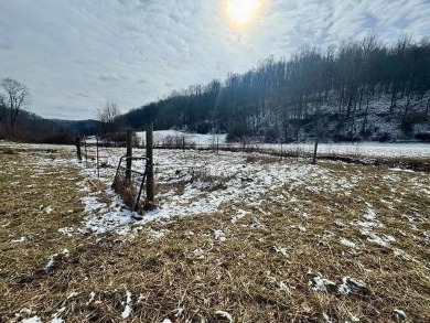 267 Brooks Rd., Reedy, WV------------PERFECT GETAWAY! This on Roane County Country Club in West Virginia - for sale on GolfHomes.com, golf home, golf lot