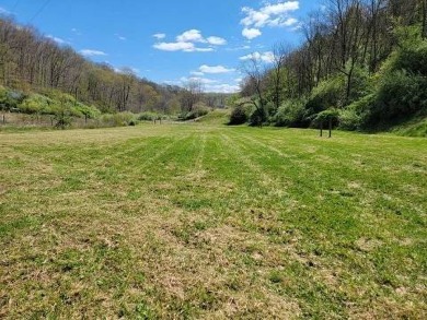 267 Brooks Rd., Reedy, WV------------PERFECT GETAWAY! This on Roane County Country Club in West Virginia - for sale on GolfHomes.com, golf home, golf lot