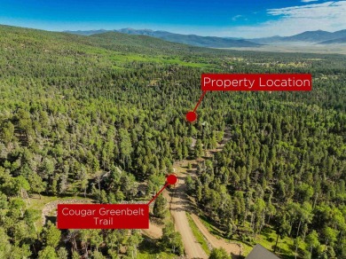 Tucked away amid whispering pines and just a short walk to the on Angel Fire Resort Country Club in New Mexico - for sale on GolfHomes.com, golf home, golf lot
