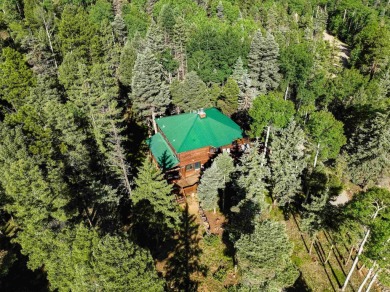 Tucked away amid whispering pines and just a short walk to the on Angel Fire Resort Country Club in New Mexico - for sale on GolfHomes.com, golf home, golf lot
