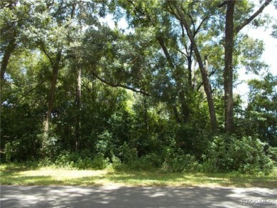 NICE BUILDING LOT LOCATED ON THE 18th FAIRWAY OF THE CITRUS on Citrus Springs Country Club in Florida - for sale on GolfHomes.com, golf home, golf lot