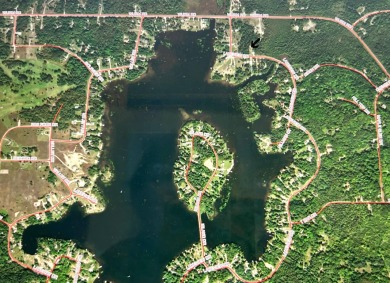 This property is ready to bring your vision to life! New on Wildwood Lakes in Michigan - for sale on GolfHomes.com, golf home, golf lot