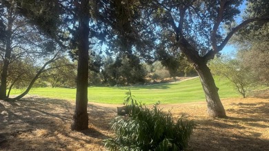 Sit back on your deck, high in the trees overlooking the golf on Yosemite Lakes Park Golf Course in California - for sale on GolfHomes.com, golf home, golf lot