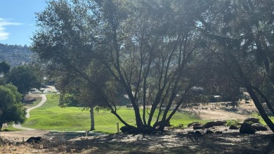 Sit back on your deck, high in the trees overlooking the golf on Yosemite Lakes Park Golf Course in California - for sale on GolfHomes.com, golf home, golf lot