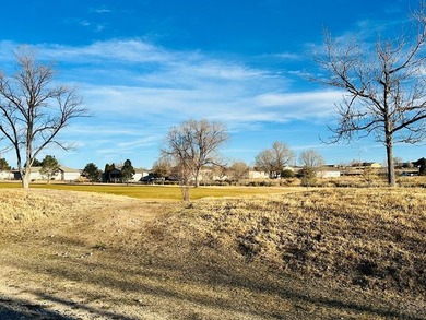 Rare opportunity to build your dream home on a .54-acre lot on Desert Hawk At Pueblo West in Colorado - for sale on GolfHomes.com, golf home, golf lot