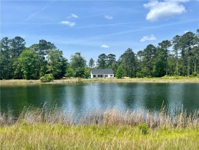 Come see what *Bluff Life* is all about! Check out this BRAND on Sapelo Hammock Golf Club in Georgia - for sale on GolfHomes.com, golf home, golf lot