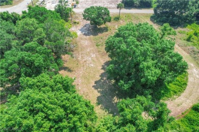 Welcome to your blank canvas in the heart of Lehigh Acres! This on Lehigh Resort Club in Florida - for sale on GolfHomes.com, golf home, golf lot