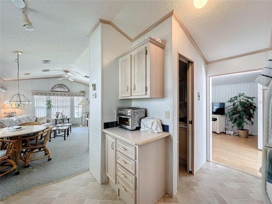 **For Sale: Charming Furnished Single Wide Home in a Vibrant 55+ on Lily Lake Golf and RV Resort in Florida - for sale on GolfHomes.com, golf home, golf lot