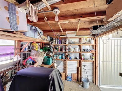 **For Sale: Charming Furnished Single Wide Home in a Vibrant 55+ on Lily Lake Golf and RV Resort in Florida - for sale on GolfHomes.com, golf home, golf lot