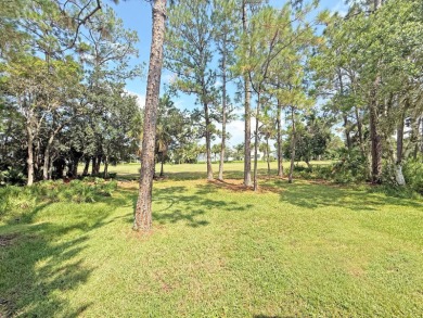 The perfect winter retreat, but also can be your full time on The Great Outdoors Golf and Country Club in Florida - for sale on GolfHomes.com, golf home, golf lot
