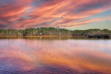 Lakefront Living in Savannah Lakes Village 613 Heritage Cove | on Monticello Golf Club At Savannah Lakes in South Carolina - for sale on GolfHomes.com, golf home, golf lot