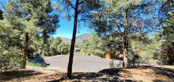 Own a piece of the Los Padres National Forest! Beautiful treed on Pine Mountain Club in California - for sale on GolfHomes.com, golf home, golf lot