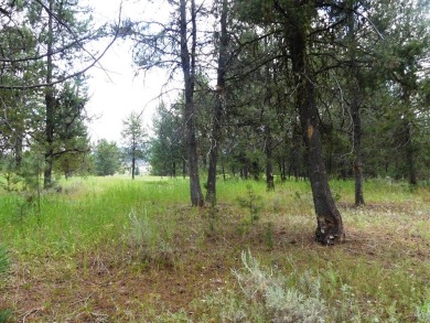 Beautiful lot with great location on Jug Mtn Ranch Golf Course on Jug Mountain Ranch Golf Course in Idaho - for sale on GolfHomes.com, golf home, golf lot