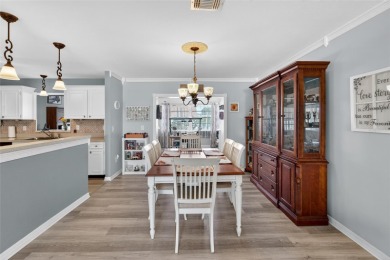 Welcome to your dream home in the vibrant community of Sun City on North Lakes Golf Course in Florida - for sale on GolfHomes.com, golf home, golf lot