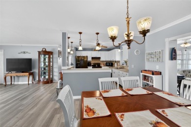 Welcome to your dream home in the vibrant community of Sun City on North Lakes Golf Course in Florida - for sale on GolfHomes.com, golf home, golf lot