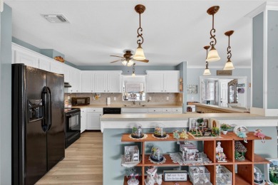 Welcome to your dream home in the vibrant community of Sun City on North Lakes Golf Course in Florida - for sale on GolfHomes.com, golf home, golf lot