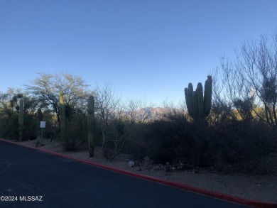 Special financing available min 3-5% down conventional loan on Starr Pass Golf Club in Arizona - for sale on GolfHomes.com, golf home, golf lot