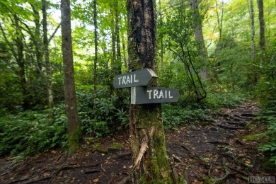 Take advantage of this opportunity to build in Chinquapin! This on Natures Walk At Chinquapin in North Carolina - for sale on GolfHomes.com, golf home, golf lot