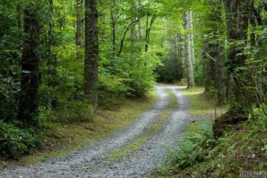 Take advantage of this opportunity to build in Chinquapin! This on Natures Walk At Chinquapin in North Carolina - for sale on GolfHomes.com, golf home, golf lot