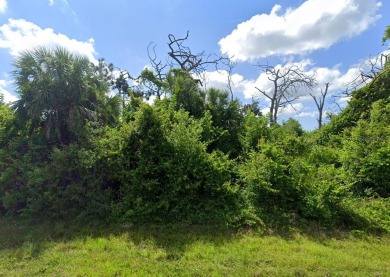 This vacant land is perfect for your dream home in East on Oyster Creek Golf Club in Florida - for sale on GolfHomes.com, golf home, golf lot