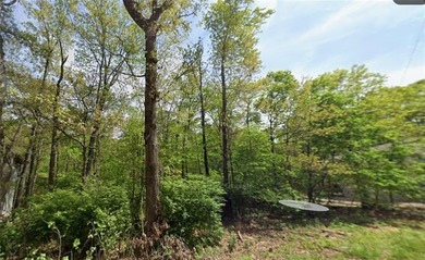 Discover Your Bella Vista Sanctuary! Escape to the serene beauty on Bella Vista Country Club and Golf Course in Arkansas - for sale on GolfHomes.com, golf home, golf lot