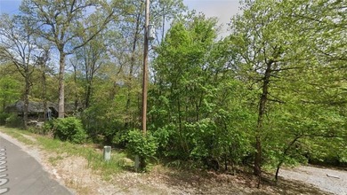 Discover Your Bella Vista Sanctuary! Escape to the serene beauty on Bella Vista Country Club and Golf Course in Arkansas - for sale on GolfHomes.com, golf home, golf lot