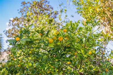 POPULAR Hanover Model Single-Family Home in the Providence on On Top of the World Golf Course in Florida - for sale on GolfHomes.com, golf home, golf lot