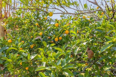 POPULAR Hanover Model Single-Family Home in the Providence on On Top of the World Golf Course in Florida - for sale on GolfHomes.com, golf home, golf lot