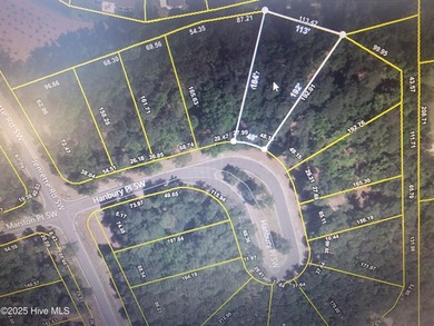 Large 1/3rd of an acre wooded home site on a cul-de-sac in the on Ocean Ridge Plantation in North Carolina - for sale on GolfHomes.com, golf home, golf lot
