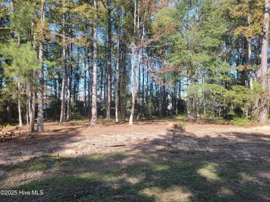 Large 1/3rd of an acre wooded home site on a cul-de-sac in the on Ocean Ridge Plantation in North Carolina - for sale on GolfHomes.com, golf home, golf lot