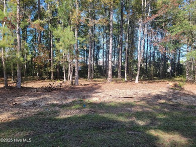 Large 1/3rd of an acre wooded home site on a cul-de-sac in the on Ocean Ridge Plantation in North Carolina - for sale on GolfHomes.com, golf home, golf lot