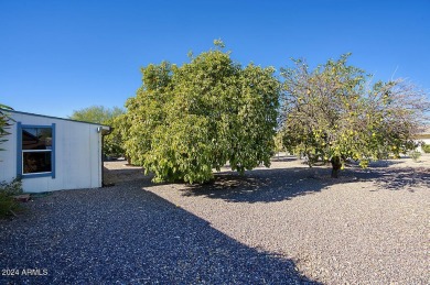 Welcome to your Sun City retreat! This delightful 2-bedroom home on PalmBrook Country Club in Arizona - for sale on GolfHomes.com, golf home, golf lot